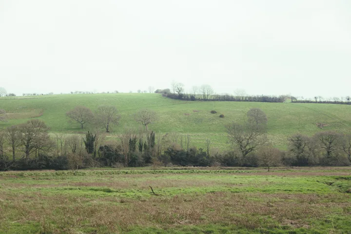 Rolling green hills — photograph by Monty Bray