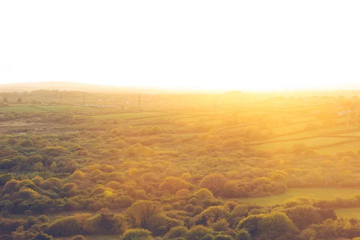 Warm light across the woodland — photograph by Monty Bray