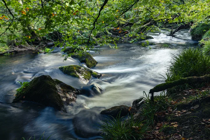 Water over mossy rocks — photograph by Monty Bray
