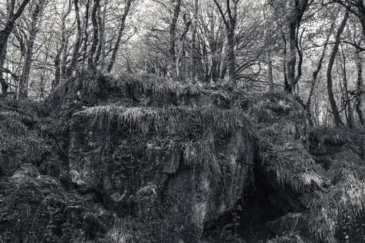 Weathered rock face — photograph by Monty Bray