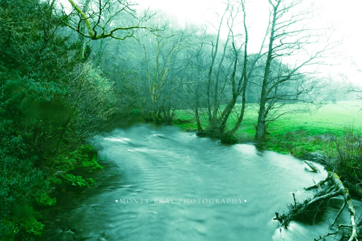 Misty woodland and river — photograph by Monty Bray
