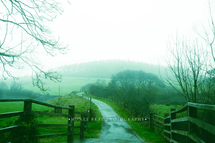 Misty woodland and river — photograph by Monty Bray
