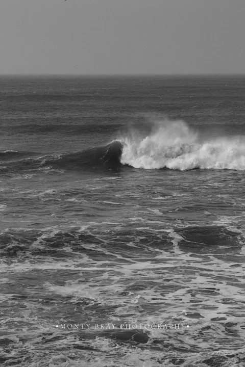 Black-and-white waves — photograph by Monty Bray