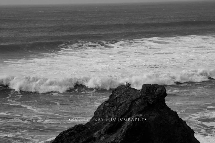 Black-and-white waves — photograph by Monty Bray