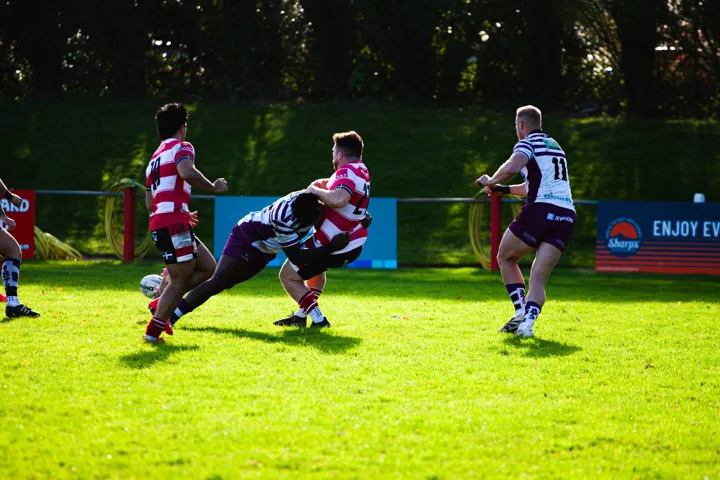Striped opposition, action — photograph by Monty Bray