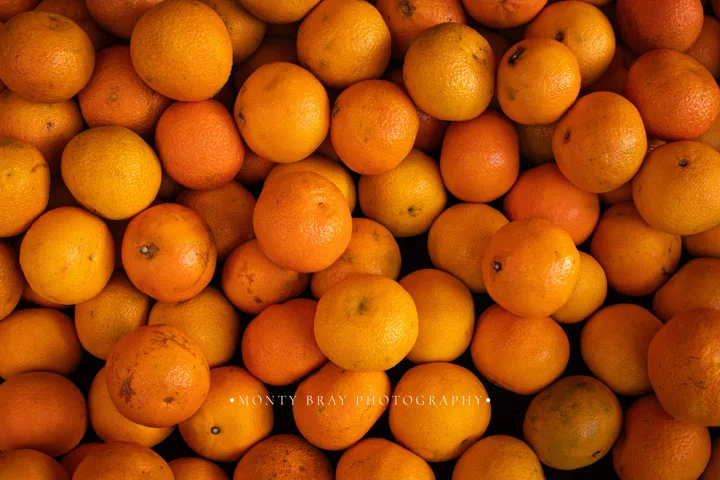 Food and repeated textures — photograph by Monty Bray