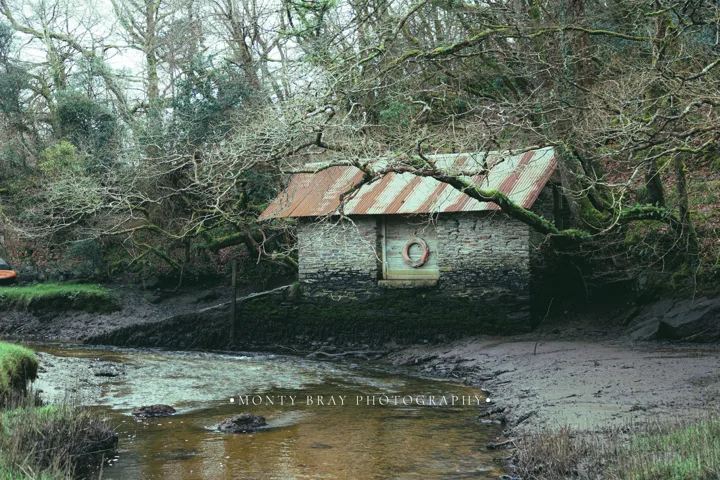 Environmental nature photographs — photograph by Monty Bray
