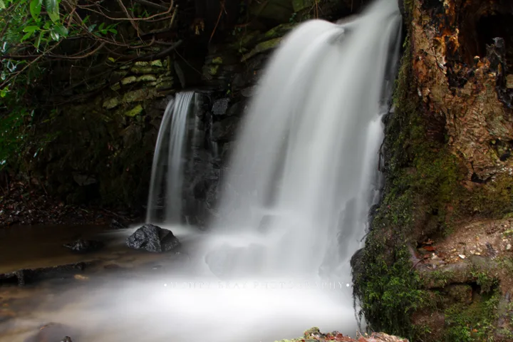 Environmental nature photographs — photograph by Monty Bray